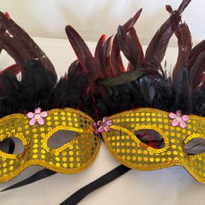 Masker diverse kleuren